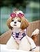10pcs/Pack Yorkshire Dog Hair Clips Pearls Centre Pet Dog Grooming Bows Supplies Pet Hair Clips Teddy Exquisite Rabbit Ears Dog Hair Accessories