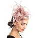 SAFERIN Fascinators Hat Sinamay Flower Mesh Feathers on a Headband and a Clip Tea Party Headwear for Girls and Women primary
