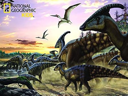 National Geographic Billed Ducked 100 pcs