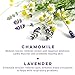 Calily Life Aromatherapy Lavender and Chamomile Bubble Bath Soak & Wash, 33.8 Oz.– Infused with Pure Essential Oils; Lavender, Chamomile, Aloe Vera & Organic Extracts –Relaxes, Soothes & Nourishes