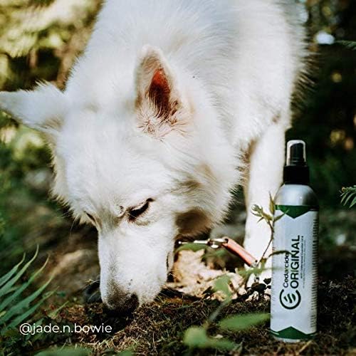 cedar spray for dogs