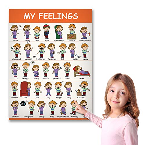 11 Educational Classroom Posters for Toddlers - Body Parts, Feelings & Emotions, Family, Clothing, Health, Vehicles, Animals, Birds & Insects - Learning for Toddlers Classroom Decorations