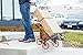 UpCart Deluxe All-Terrain Stair Climbing Folding Cart