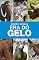 Livro Mundo Animal - Era do Gelo
