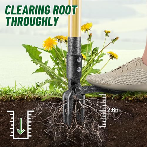 ORMALLA Weed Puller, 43.7in Long Handle Weed Remover, Dandelion Removal Tool, Natural Bamboo Handle and 4 Claws, Stand Up Garden Weed Root Remover, Pet Friendly (43.7in)