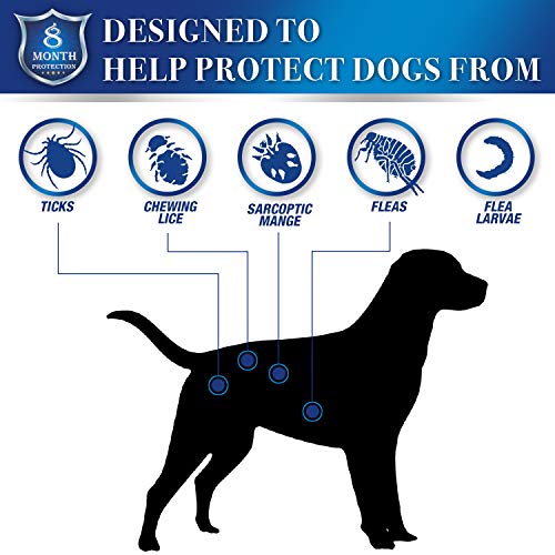 2 Hypoallergenic+Waterproof+Prevention+Control+Protection