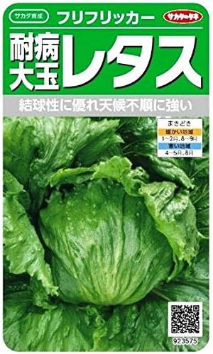 Amazon 耐病大玉レタス フリフリッカー 野菜