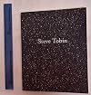 Steve Tobin: Paintings