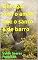 Livro Devagar com o andor que o santo é de barro