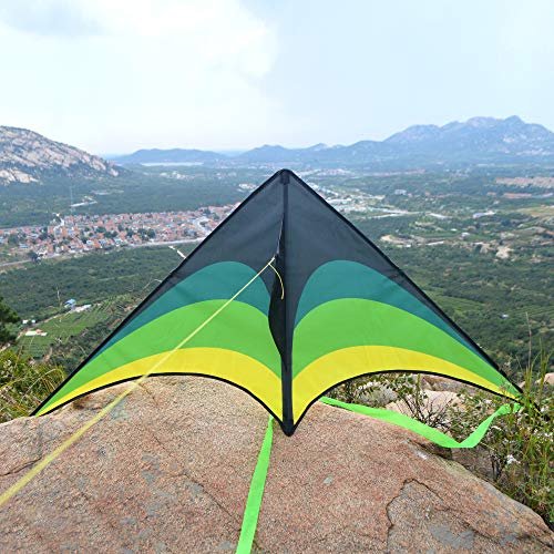 Mint's Colorful Life Delta Kite for Kids & Adults, Extremely Easy to Fly Kite with 2 Ribbons and 300ft Kite String, Best Kite for Beginners