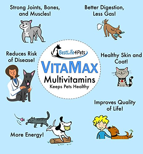 VitaMax Multivitamins for Dogs and Cats; Advanced Nutrition Pet Vitamin Supplement Improves Health of Coat and Skin, Increases Energy, Boosts Your Pet's Immunity and Aids Digestion - 60 Chews - Thumbnail 3
