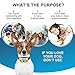 Dog No Bark Collar with Smart Detection Vibration and Harmless Shock- Rechargeable Anti Barking Device for Small Medium and Large Dog (Gold)thumb 3