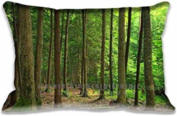 Best Design Coniferous Forest Hike Decorative Pillow Covers Set , Nature Pillow Cases for Bedding Office Car Forests Decoration Pillows Case Art