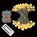 Lezuoey Fairy Lights Battery Operated 33Ft 80 Led Bulb Globe String Lights 8 Modes with Remote for Indoor Outdoor Patio Christmas Decorative Lights Warm White
