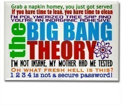 The Big Bang Theory Fridge Magnet - #334