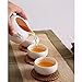XDOBO Imported Vintage Chinese & Japanese Style Porcelain Handmade Kung Fu Tea Set, 10-pack (White)