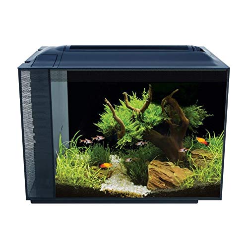 Hagen Fluval Spec V Aquarium Kit (16 gal.)
