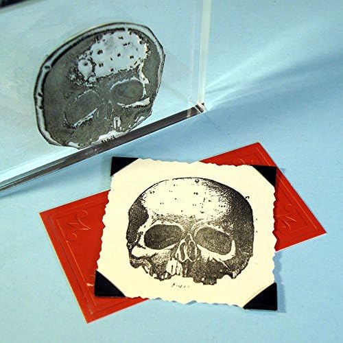 Human Skull Stamp, clear polymer cling 2"x1.75", includes storage case and block mount