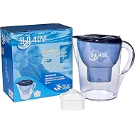 H2O 4 CPAP Ion Distilled Water System for CPAP or BiPAP Humidifier Water Chamber | CPAP Supplies & Accessories for Sleep Apnea | Removes Harmful Calcium & Minerals from Tap Water