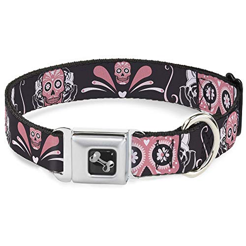 Top 10 skull dog collars for medium dogs Sideror Reviews