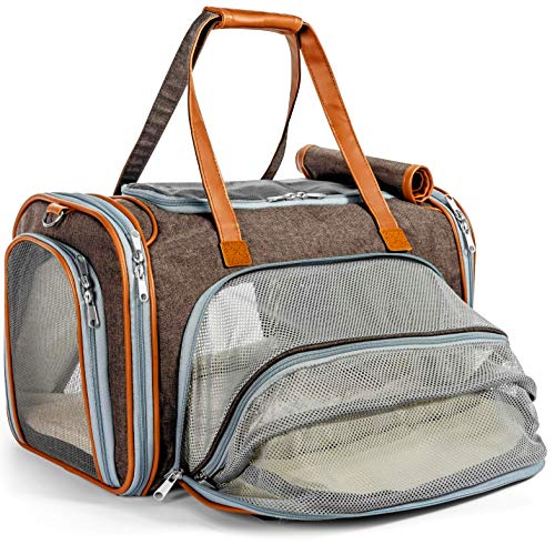 Softsided Cat Carrier