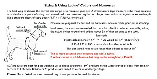 LupinePet Originals 1/2" Dapper Dog 12-18" Step In Harness for Small Dogs