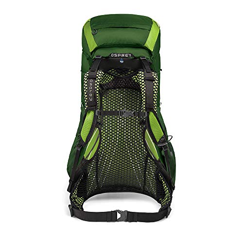 Osprey Exos 48 Men's Backpacking Backpack, Tunnel Green, Medium