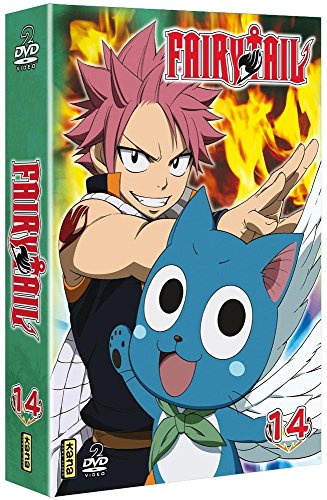Fairy Tail - Vol. 14