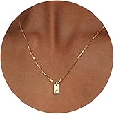 SELSHE Gold Initial Necklace for Women,Dainty Gold Letter Necklace 14K Gold Plated Simple Initial Pendant Necklace Tiny Personalized Name Necklace Cute Choker Necklace Jewelry for Women
