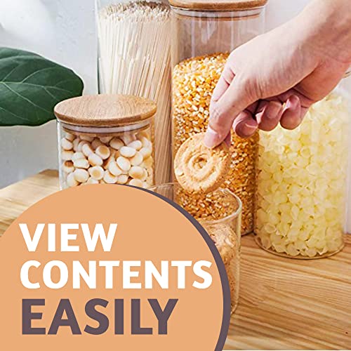 Cattleya Earth Home Essentials Set of 5 Glass Storage Containers for Food Storage, Glass