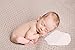PoseBaby PRO Newborn Photography Butterfly Poser | 2 Piece Wedge & Butterfly Positioner for Posing Baby | #1 Professional Posing Aid | Baby Photo Prop & Pose Pillow | Bean Filling NOT Included