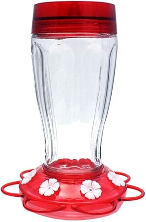 Amazon Com More Birds Big Gulp Hummingbird Feeder Glass Bottle