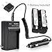 Battery and Charger FOR SONY DCR-VX1000 DCR-VX2000 DCM-M1 NP-F550 NPF550 + car plug
