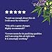 TheraNeem Naturals Neem Oil | for Healthy Skin, Hair, Nails & More | Certified Organic, 100% Pure Unrefined, Cold Pressed Neem Seed Oil | 1 fl. oz