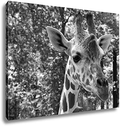 Ashley Canvas Giraffe In A Zoo, Wall Art Home Decor, Ready to Hang, Black/White, 16x20, AG6457846