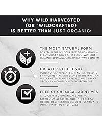 Single Origin Wildcrafted Maca Root Capsules - Ultra High Strength - 10,000mg 20x Concentrated Extract -...