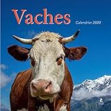 Calendrier vaches by