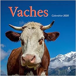 Amazon Fr Calendrier Vaches 2020 Collectif Livres