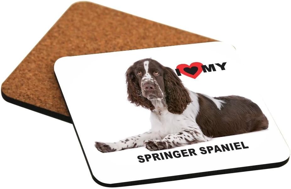 i love my springer spaniel