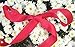 Red 1 Inch Grosgrain Ribbon. 50 Yards Gift Wrapping Spool by Drency Ribbons
