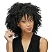 HAIRCUBE Afro Curly Wigs for Black Women Short Kinky Jet Black Heat Resistance Fiber Wigs for Women