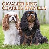 Cavalier King Charles Spaniels 2020 12 x 12 Inch Monthly Square Wall Calendar with Foil Stamped Cove by 