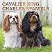 Cavalier King Charles Spaniels 2020 12 x 12 Inch Monthly Square Wall Calendar with Foil Stamped Cove by 