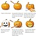 Pumpkin Caring Kit, OTBBA 5 Piece Halloween Pumpkin Carving Tool Set With 10 Carving Stencils DIY Halloween Jack-O-Lantern For Pumpkin Party Decorations