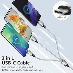Puxnoin Multi Charging Cable, USB C Splitter