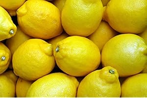 TANG STORE 1 Dozen (12) Fresh Certified Organic Lemons
