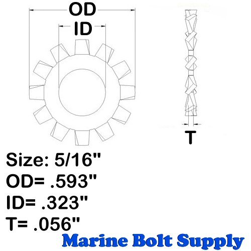 5/16" Stainless Steel External Tooth Star Lock Washers (Pack of 500pcs