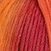 Elegant Yarns Kaleidoscope Yarn, Indian Spices