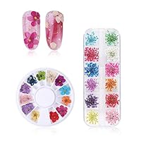 DAGEDA 2 Boxes 3D Nail Art Accessories Dried Flowers, 24 Different Colorful Life Nail Flower Stickers For DIY Crafts Nails Decorations（Gypsophila Sun Flower Daffodil）