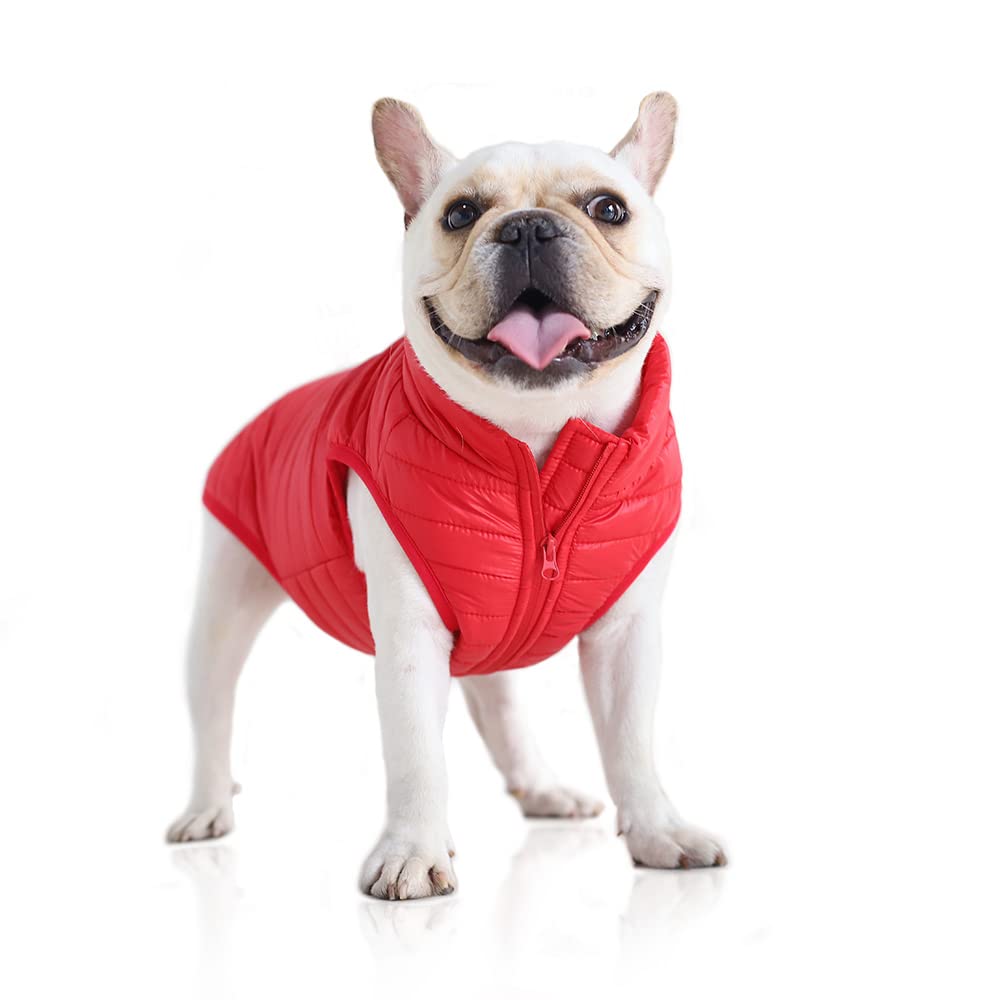 BT Bear Dog Winter Coat with D Ring,Super Light Small Dogs Warm Coat Zip Waterproof Pet Cat Warm Jacket Vest Apparel for Small Medium Dogs(XL,Red)